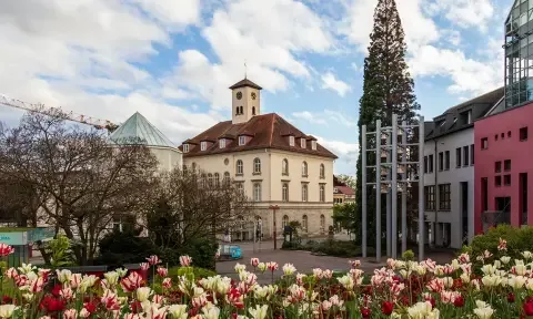 Ladenreinigung in Sindelfingen